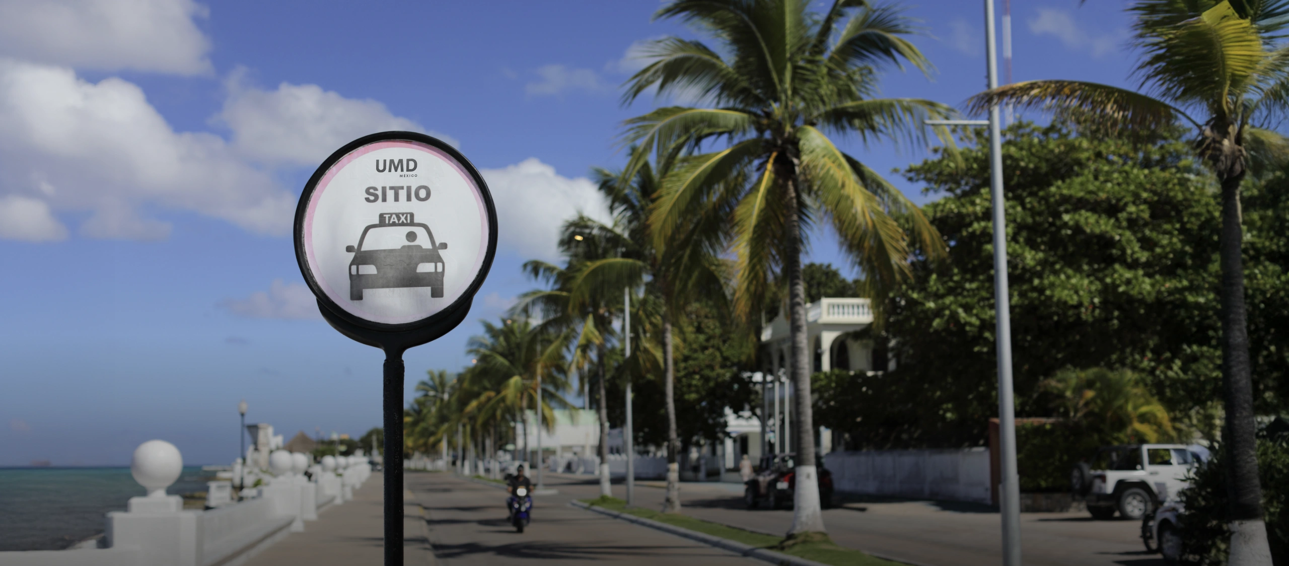 UMD in Mexico: From Local Startup to International Expansion